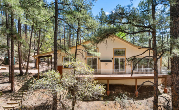 Prescott backing national forest